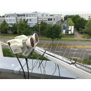 Polytron optisches LNB OPM-LNB 032/064 (32-/64-fach - FibreMDU)