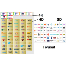 TivuSat SmarCAM 4K/UHD CI+ Modul incl. BLACK-Smartcard (Rai, Mediaset, LA7 - jetzt auch mit vielen Sendern in ULTRA-HD)